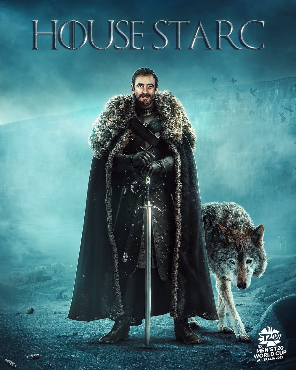ICC Global creatives — House Stark creative